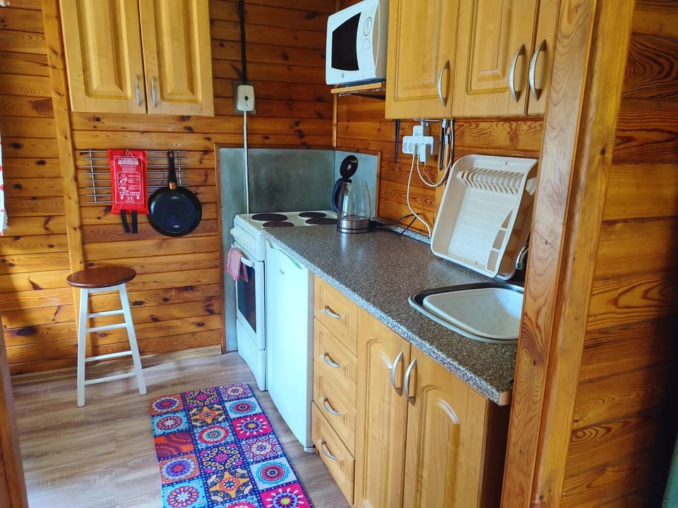Kitchen or kitchenette, oven, pet friendly, stove, toaster