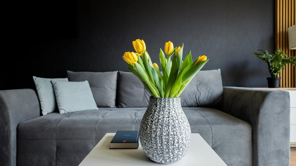 EASY RENT Apartments - Amber 10, Basen & SPA, Centrum Free Parking 24h Check-in Apartment in Masovian Voivodeship