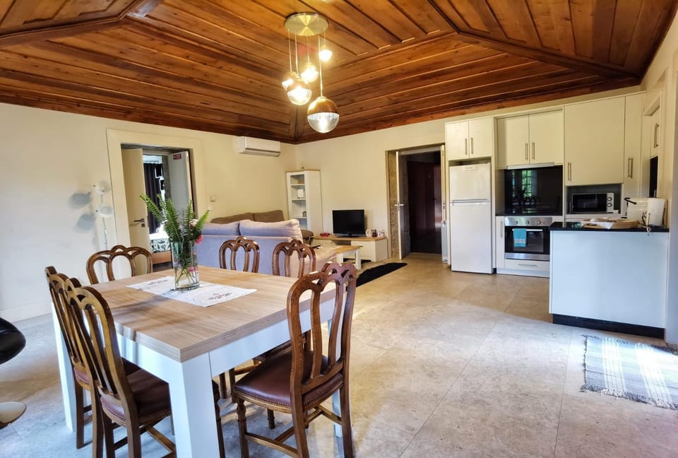 TV and multimedia, Kitchen or kitchenette, Living room, Dining area, minibar, pet friendly, stove