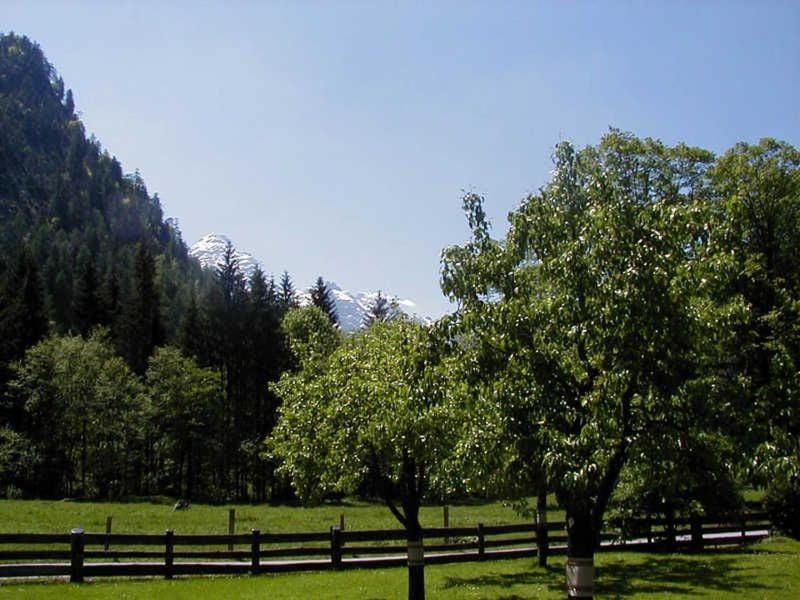 View (from property/room)