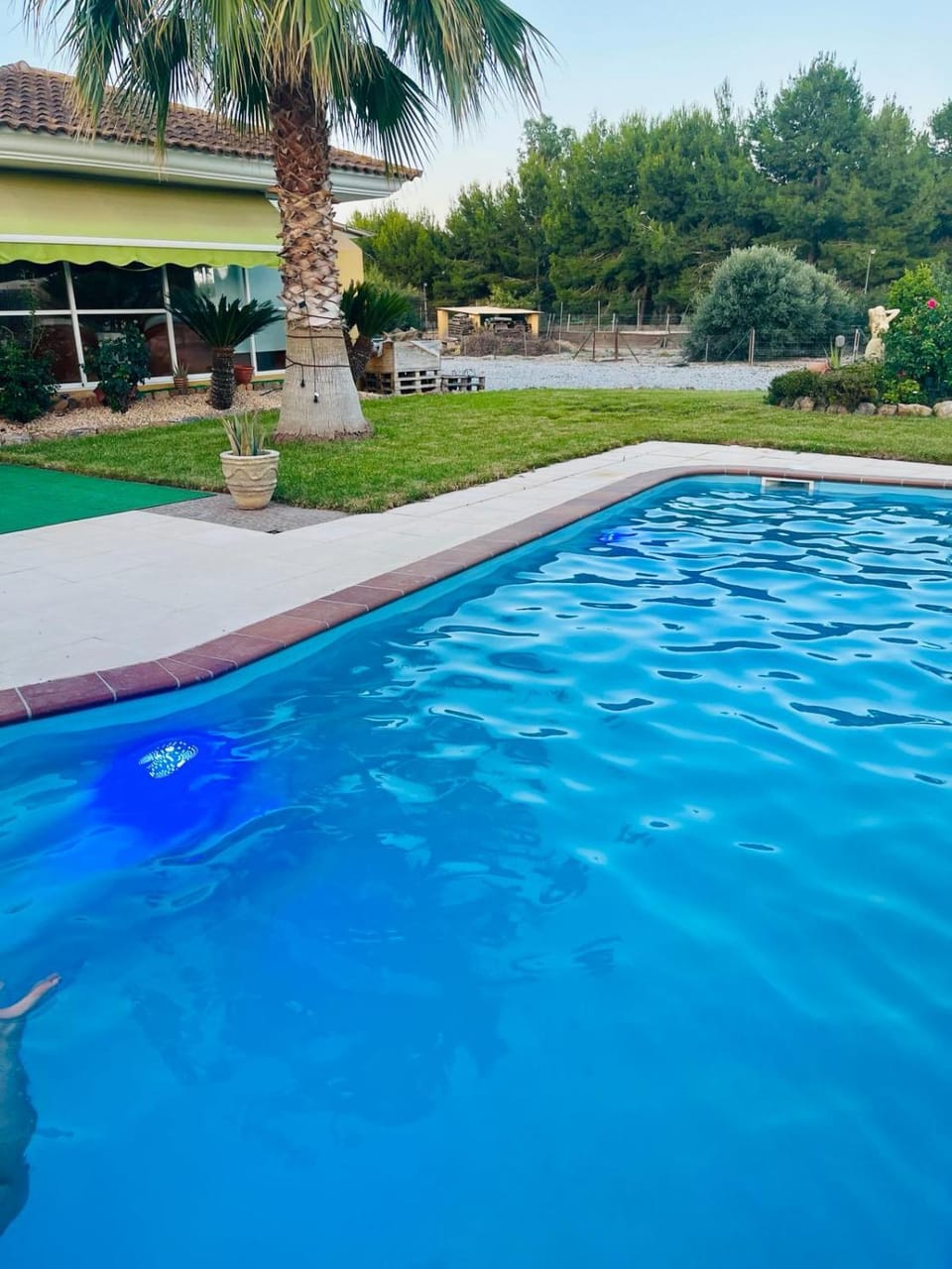 Balcony/Terrace, Swimming pool