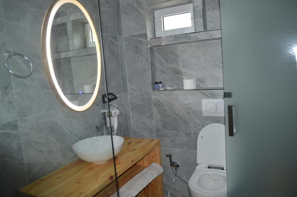 Shower, Toilet, Bathroom, bidet