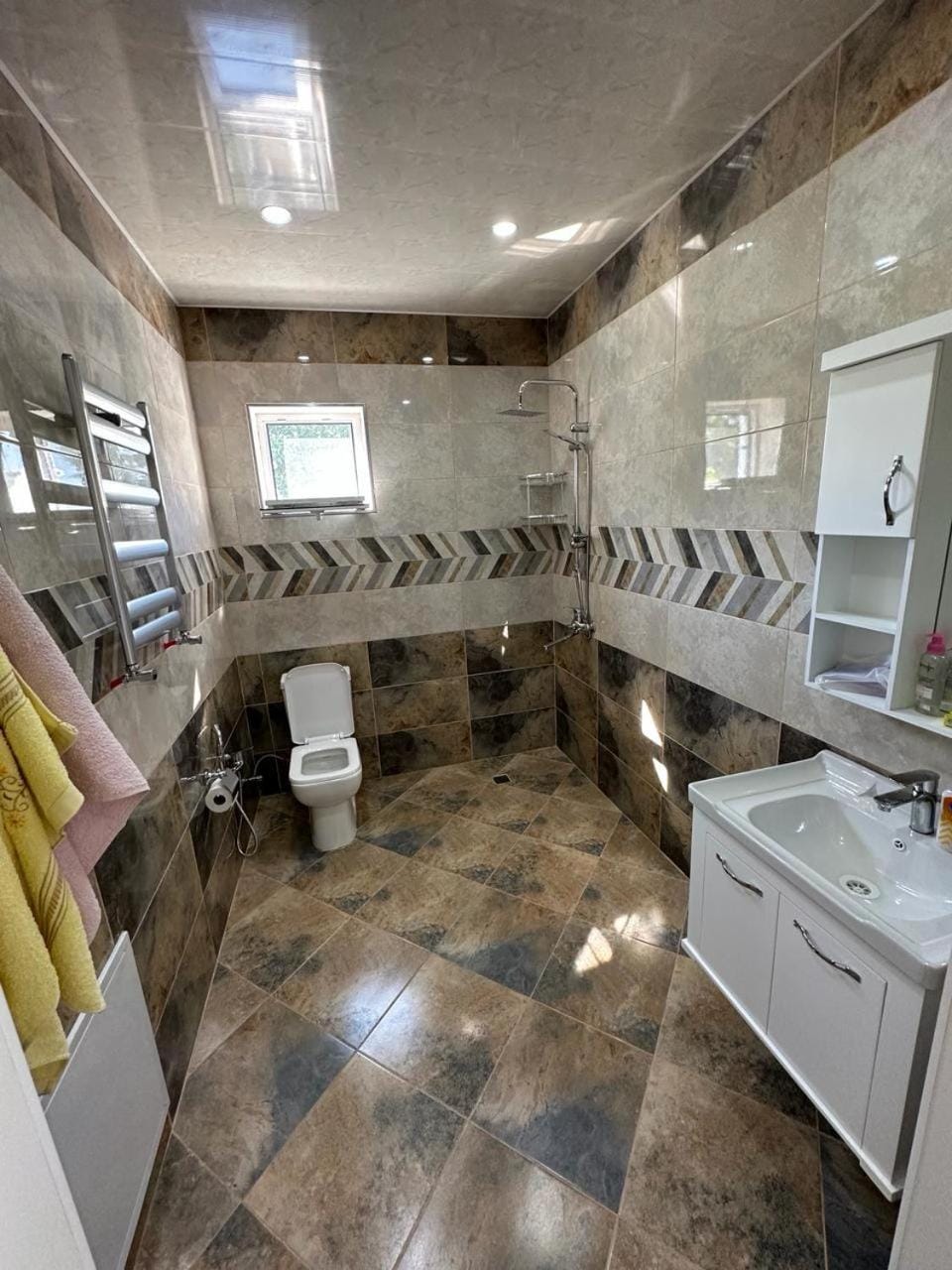 Shower, Toilet