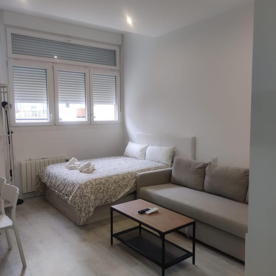 DH Estudios Lopez de Hoyos Apartment in Madrid