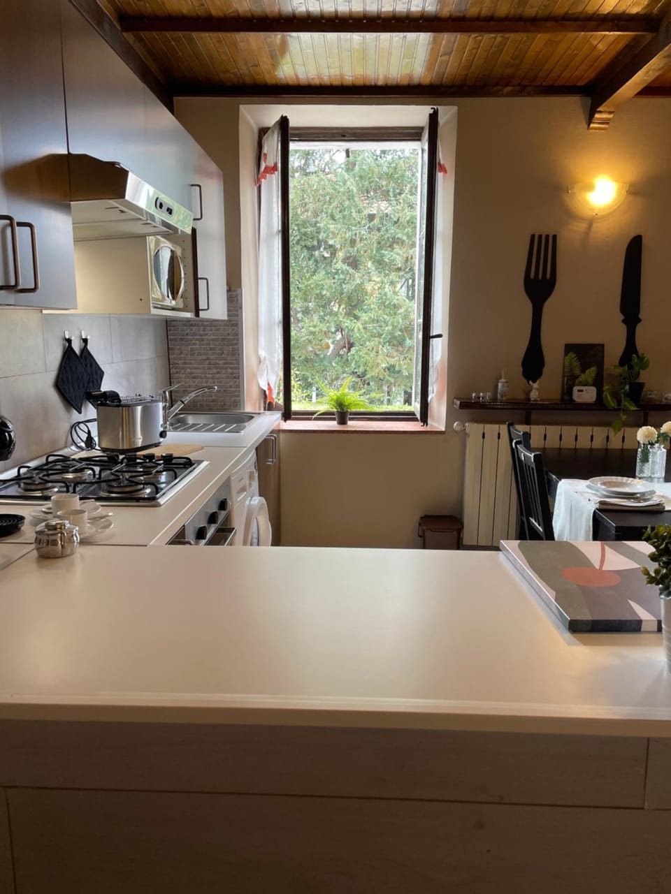 Kitchen or kitchenette, minibar, pet friendly, stove