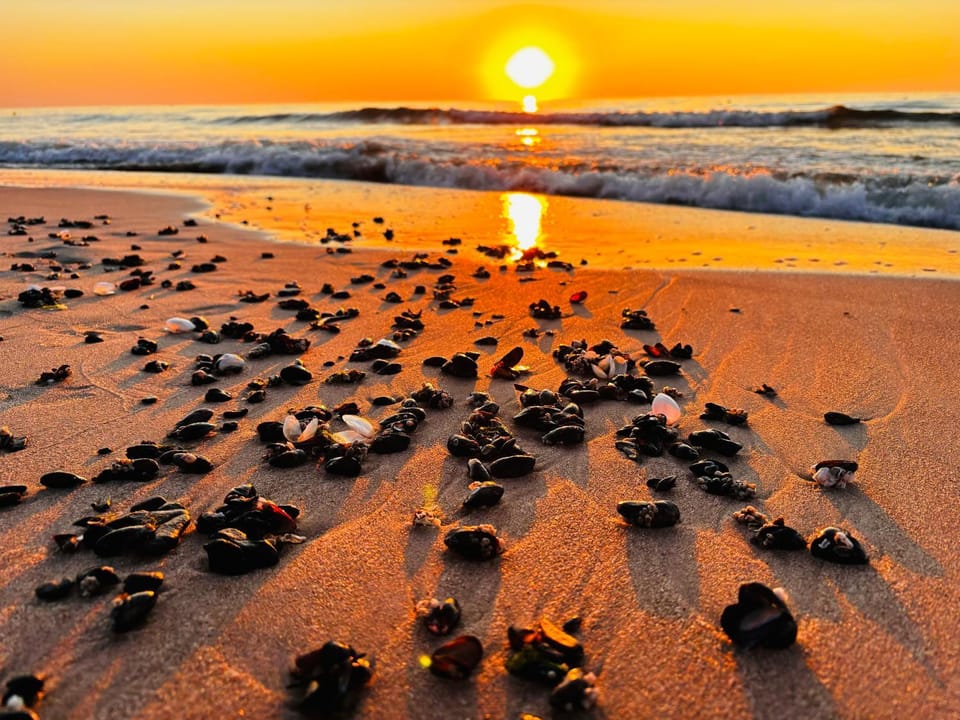 Nearby landmark, Beach, Sunset