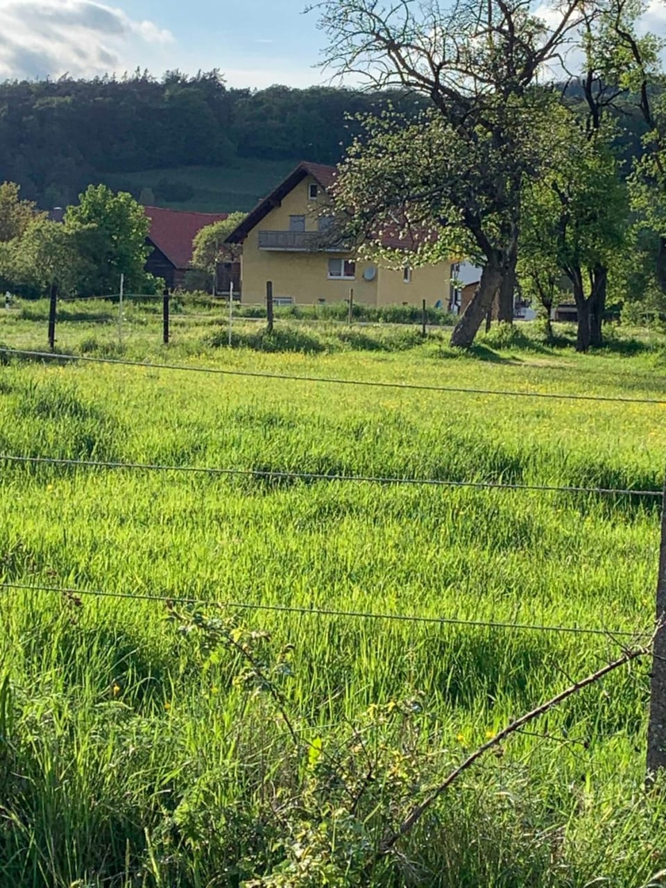 Neighbourhood