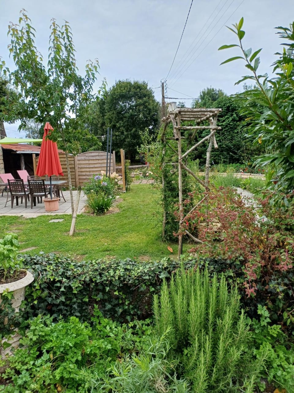Patio, Spring, Day, Natural landscape, Garden, Garden view