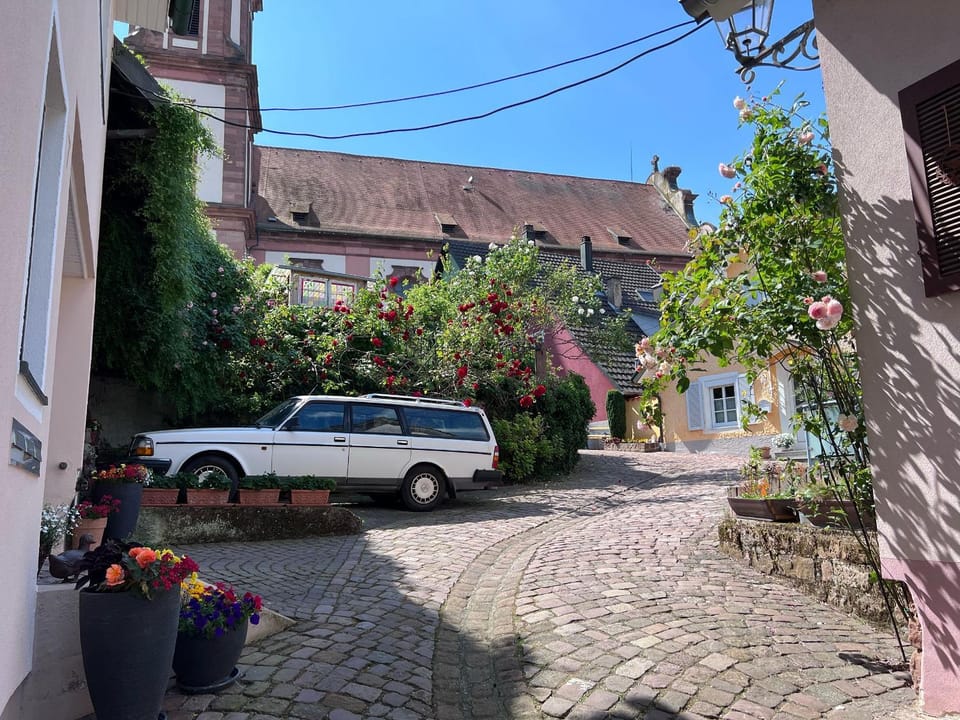 View (from property/room)