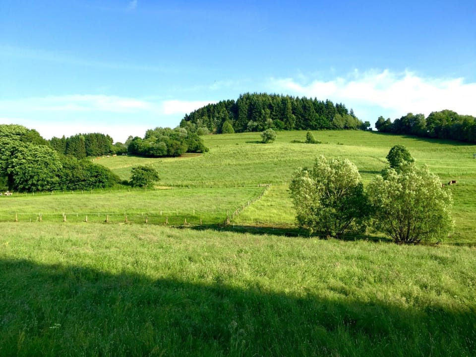 Ferienhaus Eifeltraum Magma House in Vulkaneifel