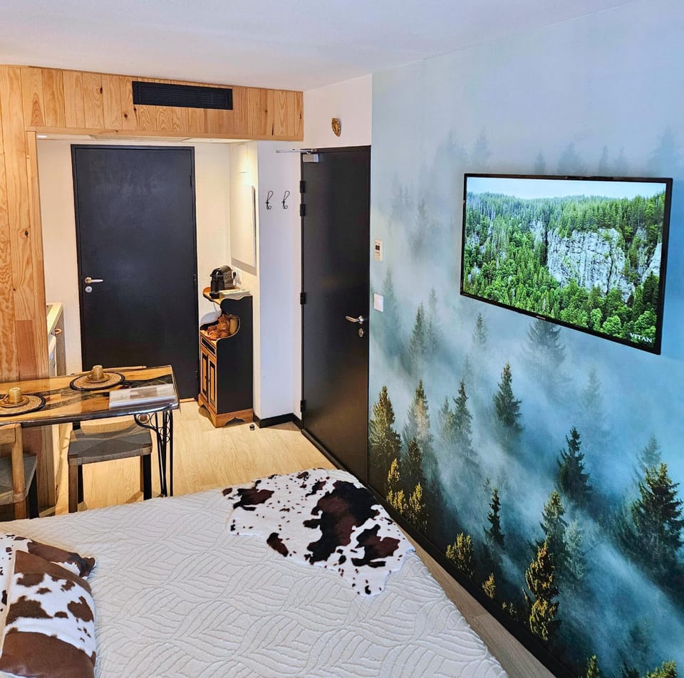 [Chalet] Studio Premium, WIFI, Chaleureux Apartment in Lourdes