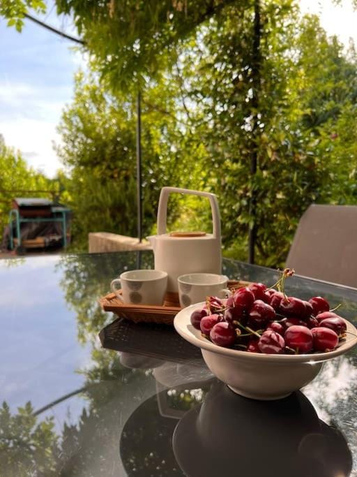 Garden, Balcony/Terrace