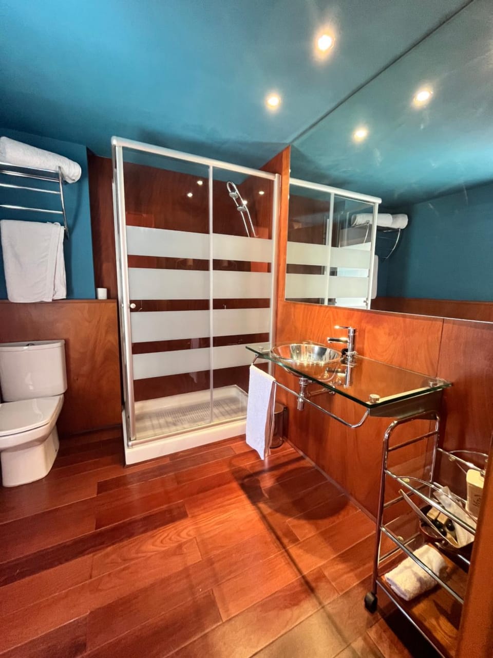 Shower, Toilet, Bathroom, towels