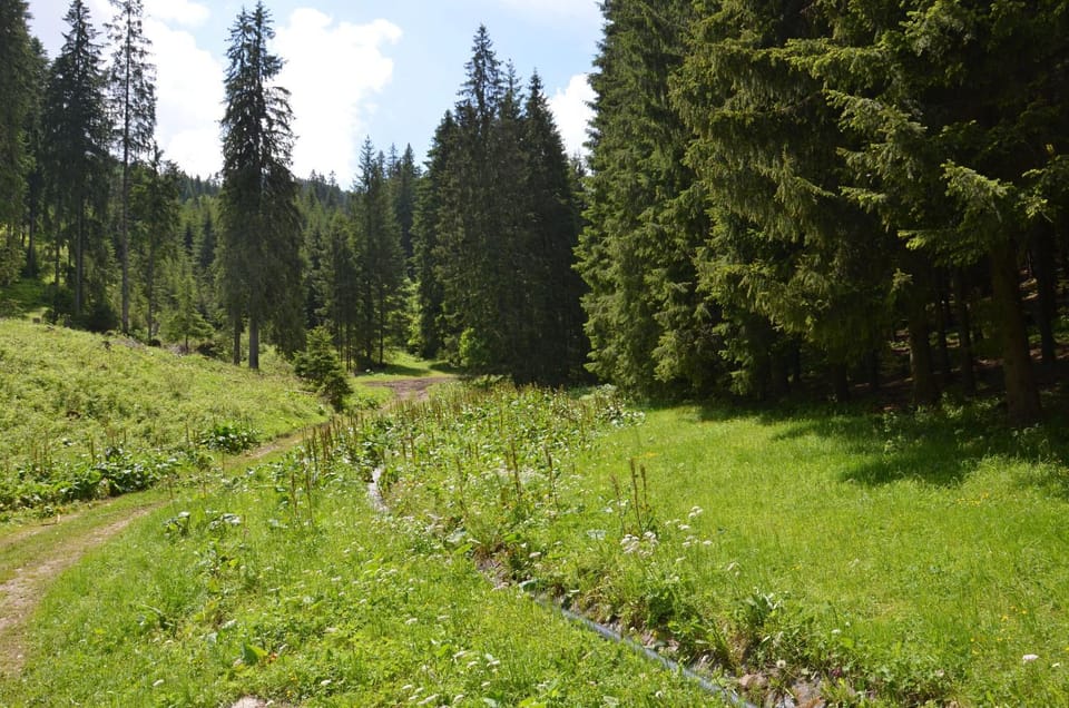 Natural landscape, View (from property/room)