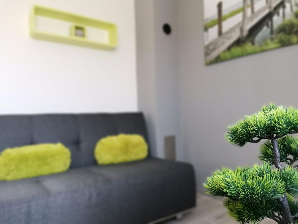 Living room, Seating area, Family