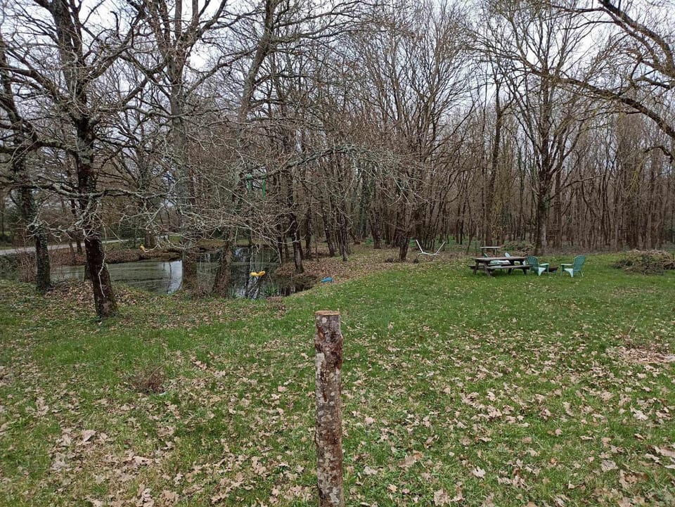 Natural landscape, Garden