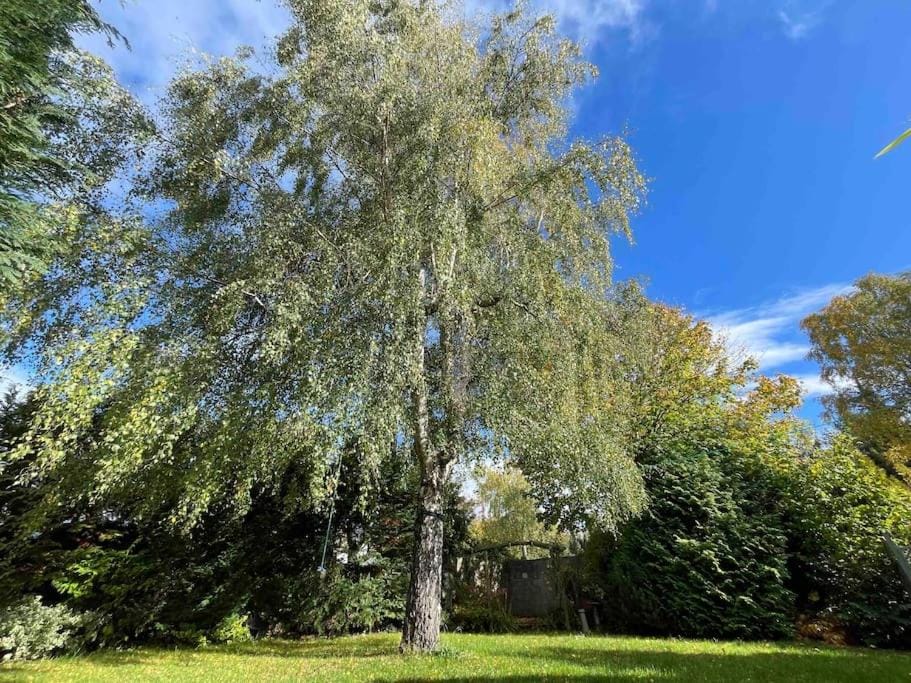 Natural landscape, Garden