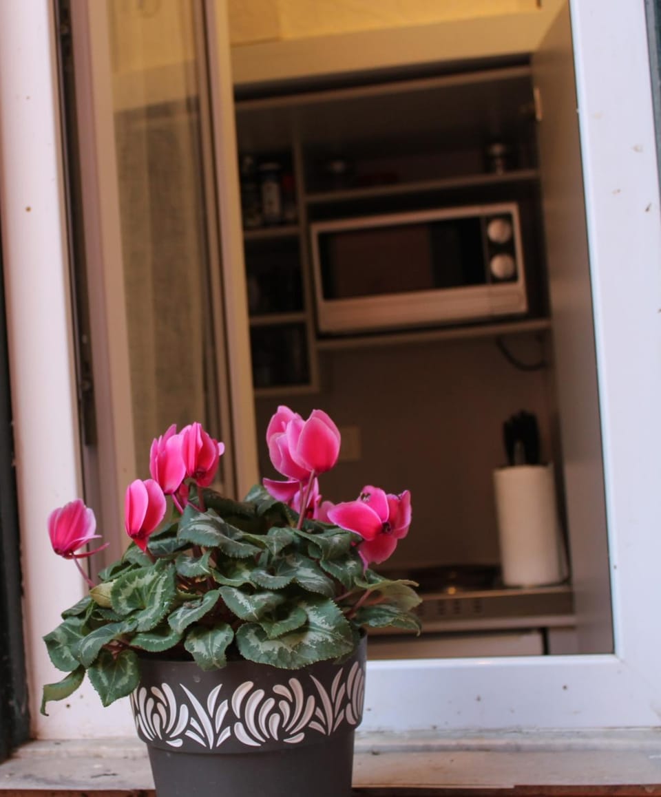 Argilla House 10 min a piedi dal Vaticano Apartment in Rome