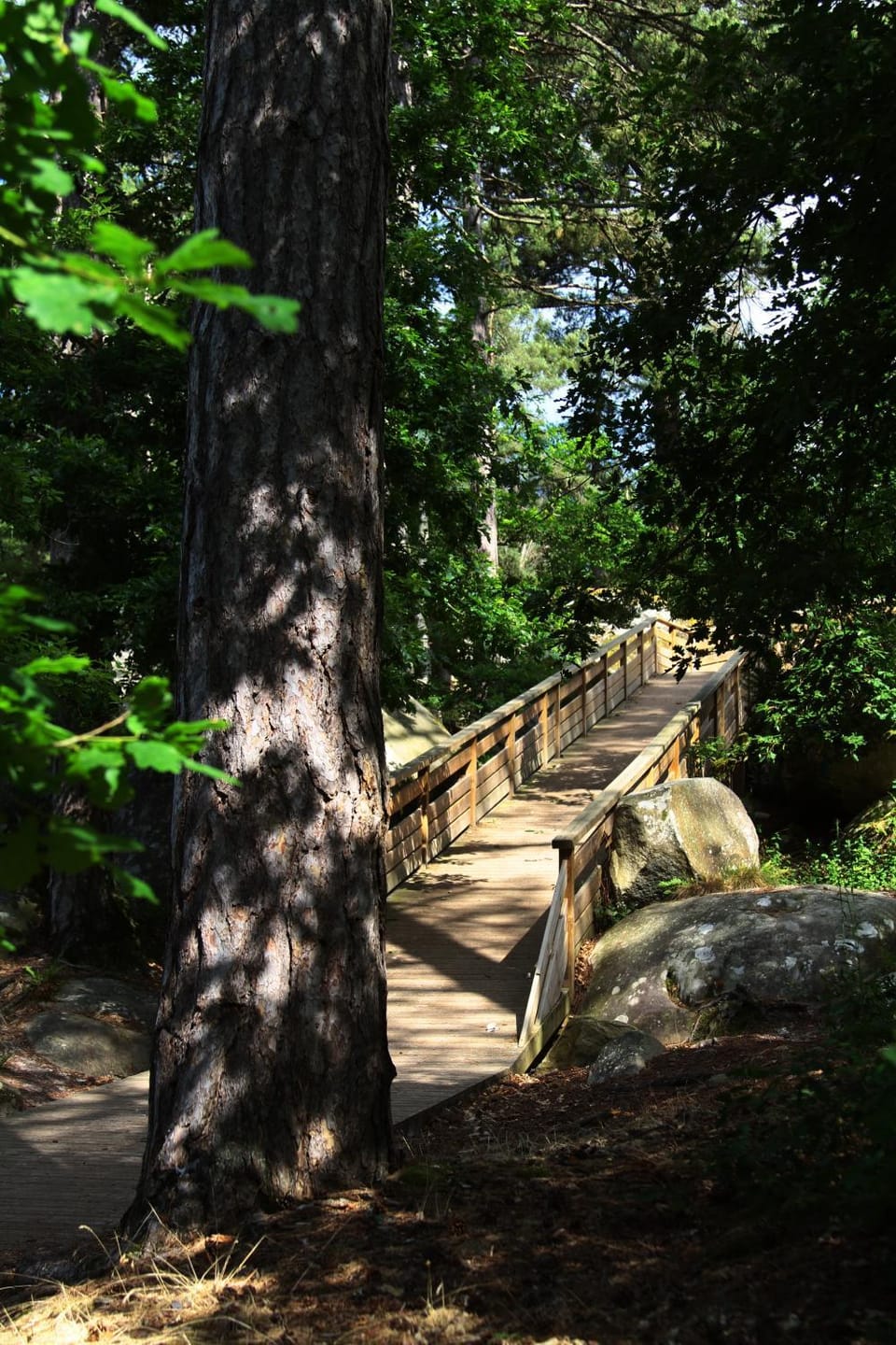 Natural landscape