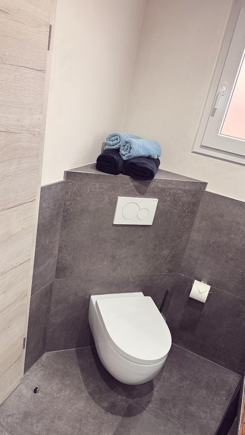 Toilet, Bathroom, towels