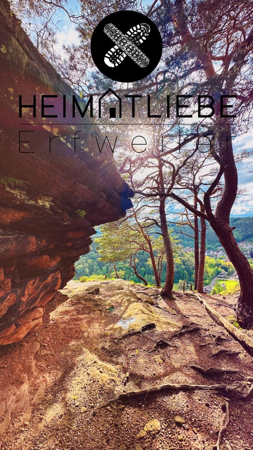 Heimatliebe Erfweiler Wohnung VIER Apartment in Rhineland-Palatinate