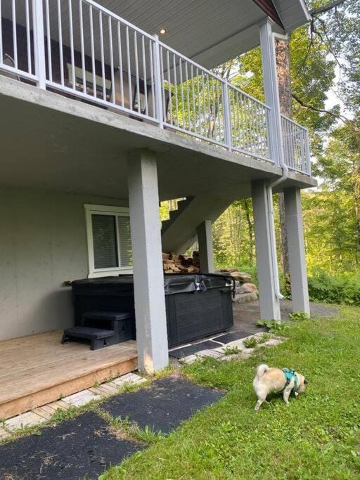 Patio, Pets