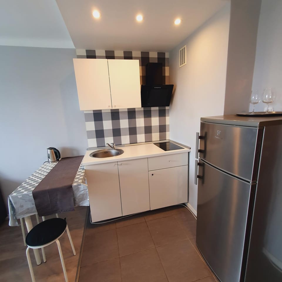 Park Saski Przechodnia Apartment in Warsaw