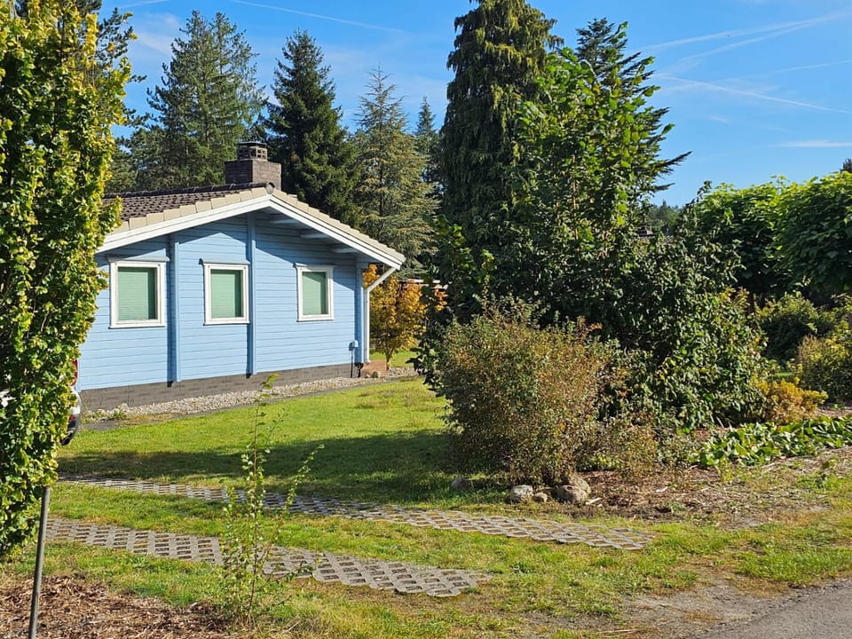 Property building, Garden, Garden view