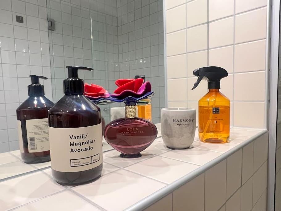 Koselig leilighet i sentrum av OSLO med byutsikt! Apartment in Oslo