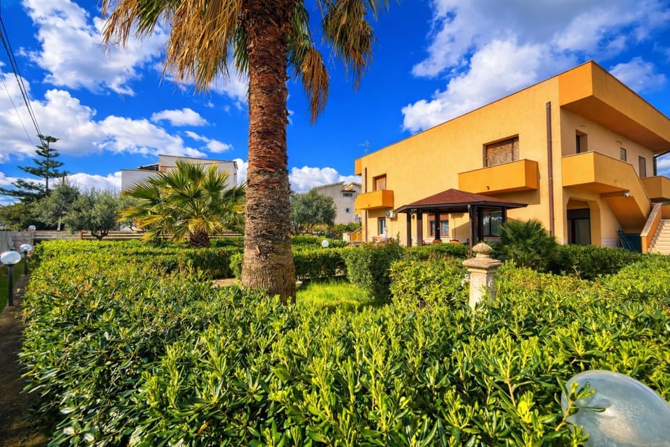 Property building, Garden, Garden view