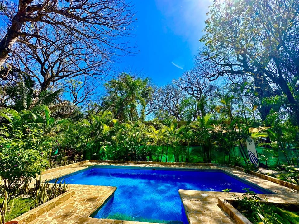 View (from property/room), Pool view