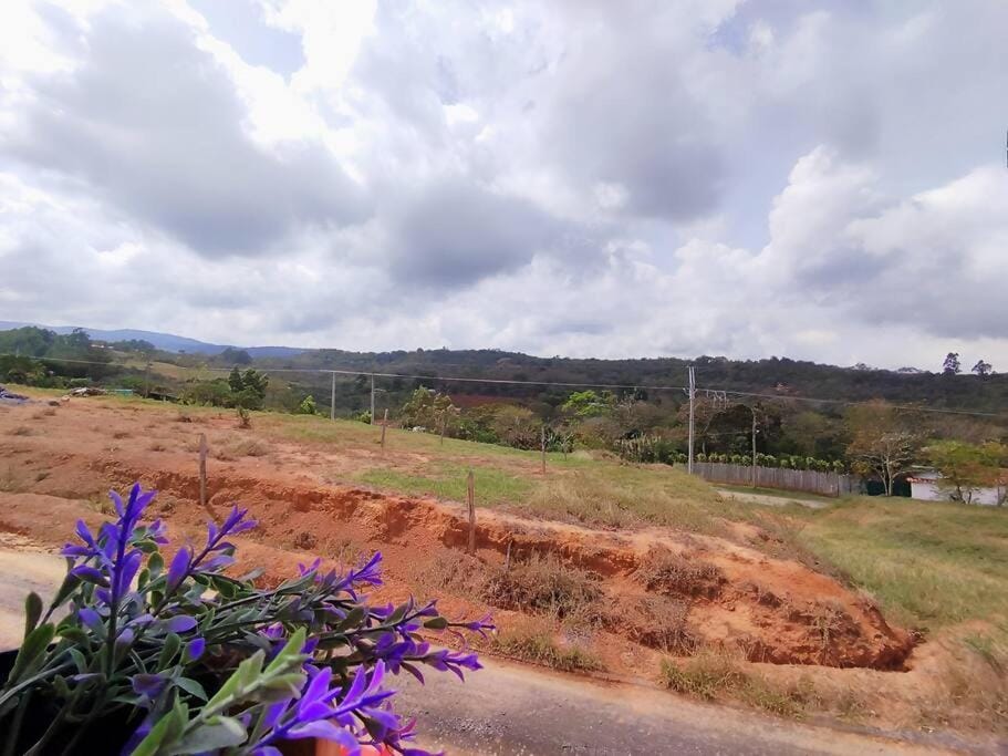 Natural landscape