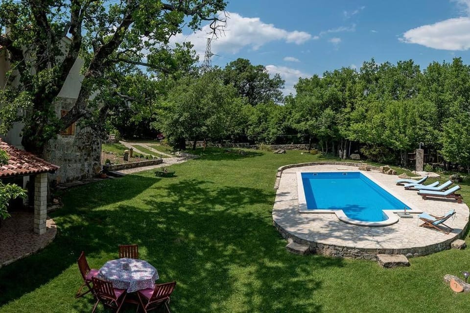 Natural landscape, Garden, Garden view, Pool view, Swimming pool, sunbed