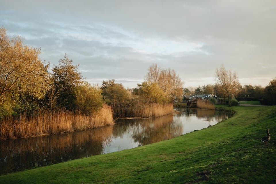 Natural landscape, Area and facilities