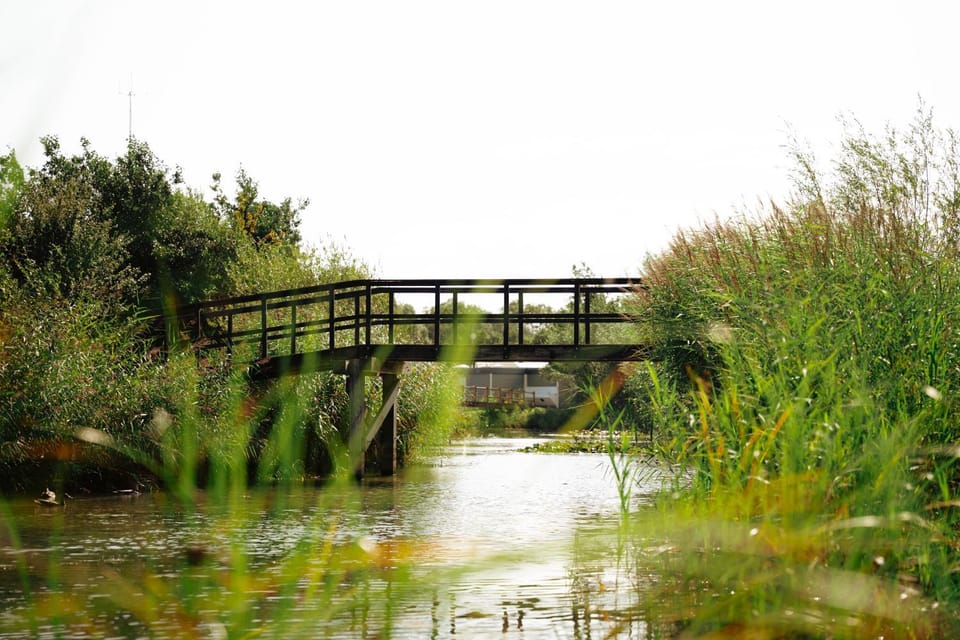 Lake view