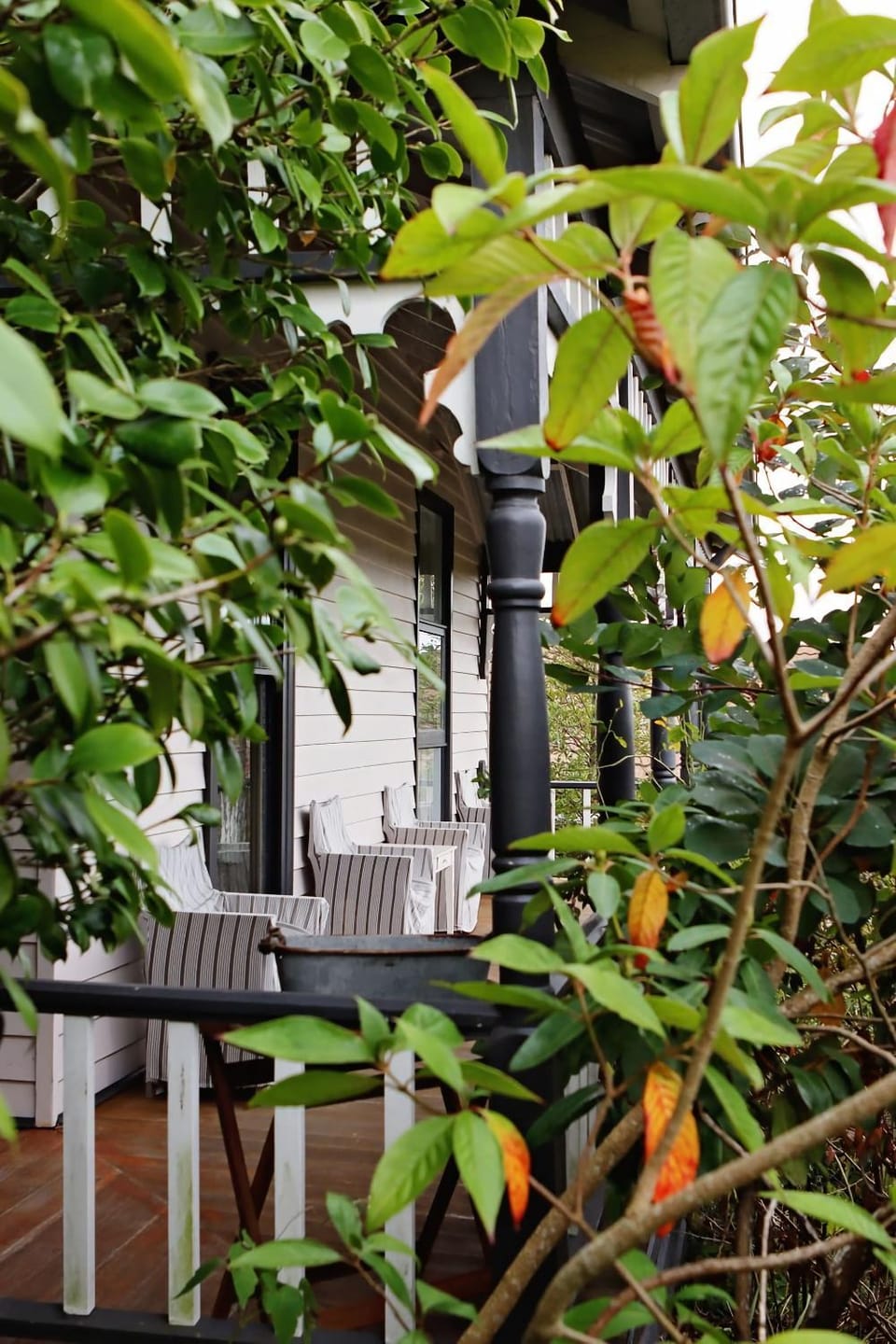 Day, Garden, Balcony/Terrace, Garden view