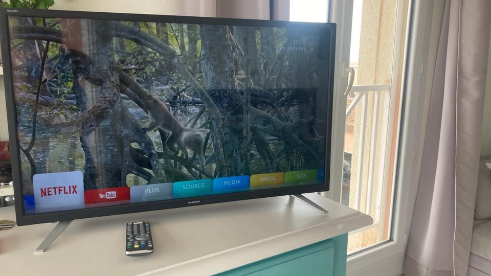 TV and multimedia