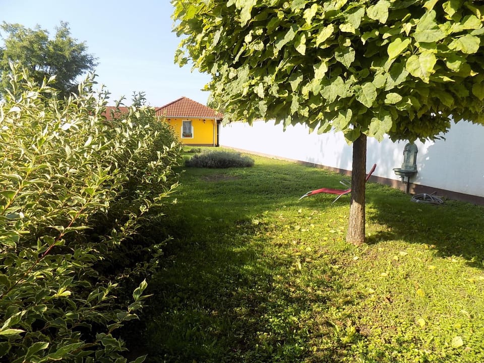 Platán Panzió Bed and Breakfast in Hungary