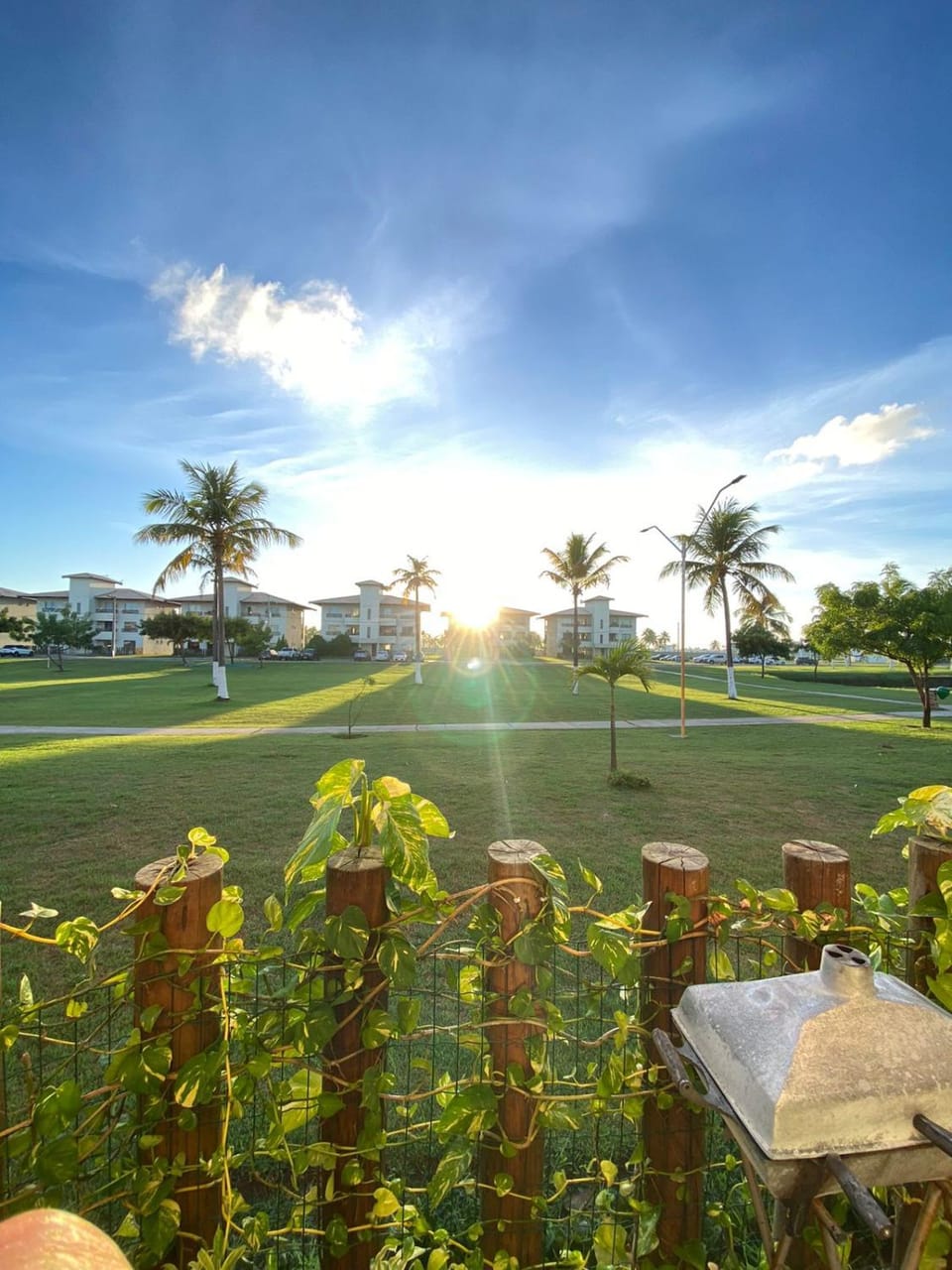 Natural landscape, Garden view, Sunrise
