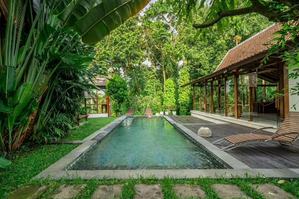 Natural landscape, Garden, Pool view, Swimming pool
