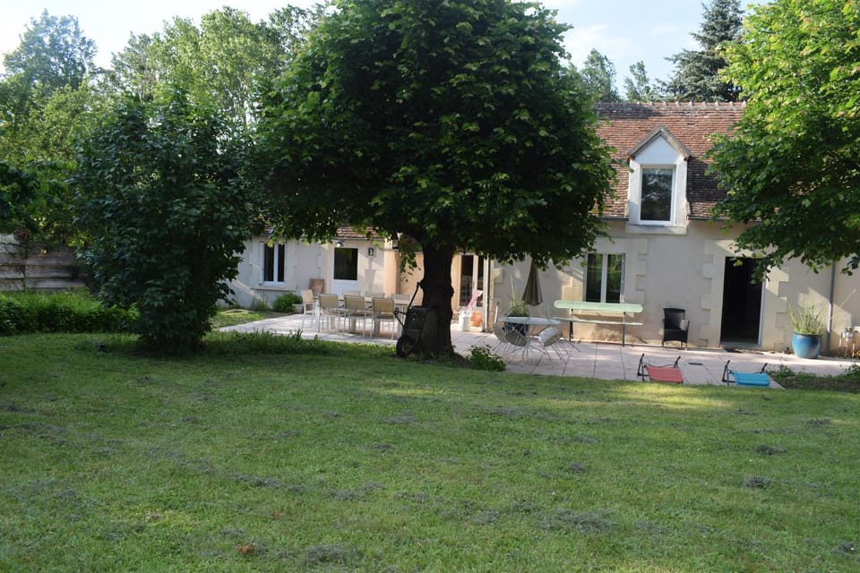 Patio, Garden, Garden