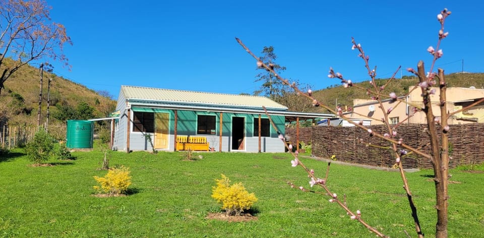 Property building, Garden, Garden view