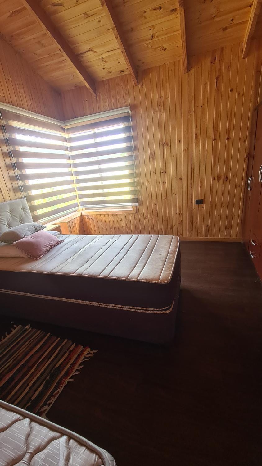 Cabaña de relajo House in Valparaíso Region