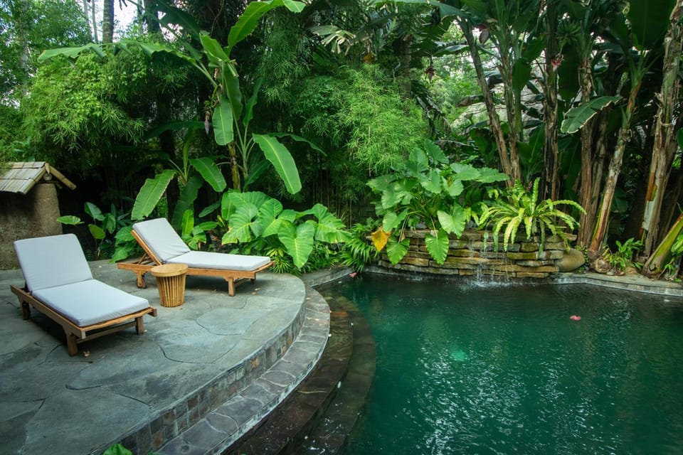 Patio, Natural landscape, Garden view, Pool view, Swimming pool, Swimming pool, sunbed