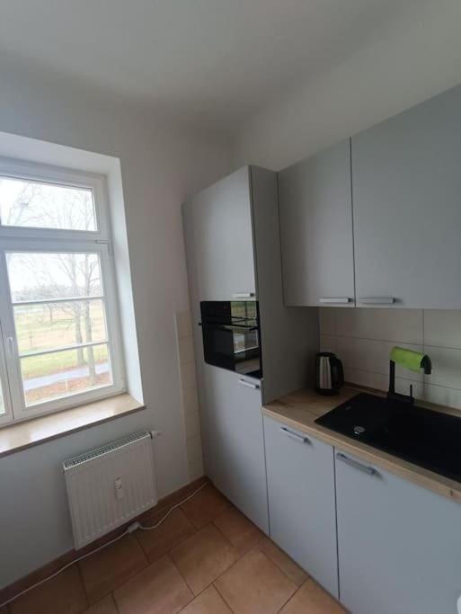 FeWo an den Elbwiesen neben der Altstadt Apartment in Dresden-Neustadt