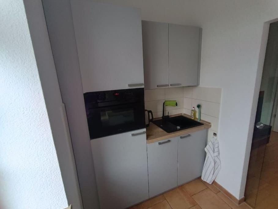 FeWo an den Elbwiesen neben der Altstadt Apartment in Dresden-Neustadt