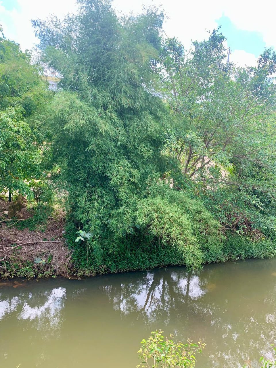 River view