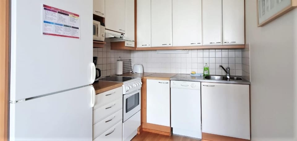 Kitchen or kitchenette, dishwasher, oven, stove