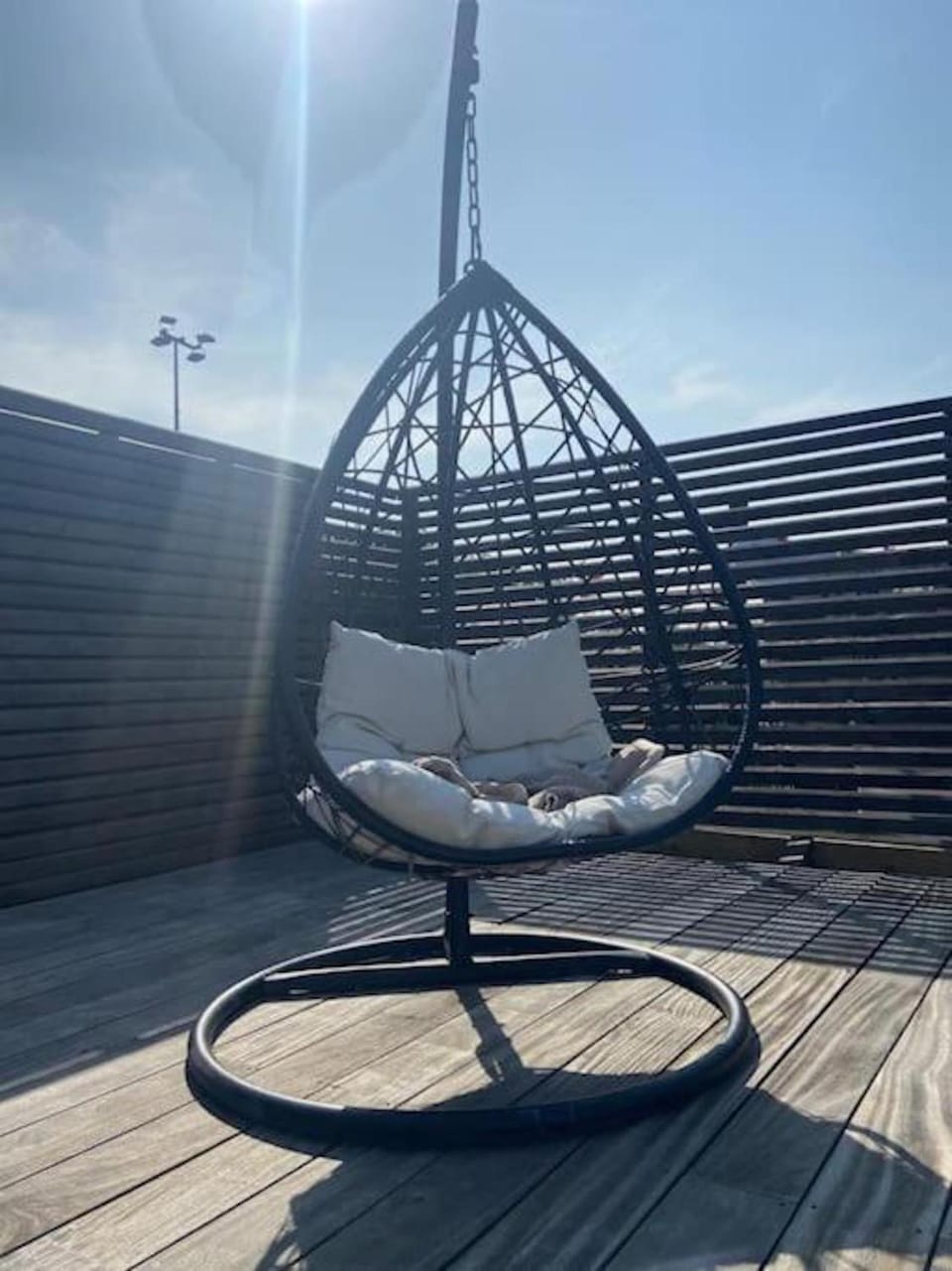Patio, sunbed