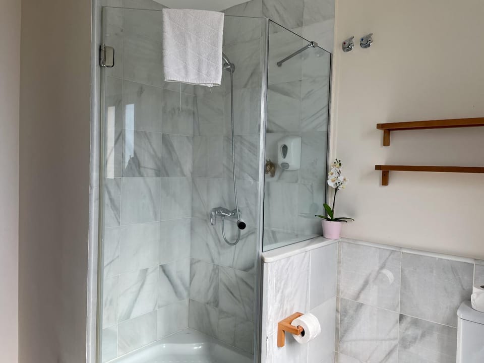 Shower, Bathroom, towels